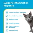 thumbnail image 3 of PRN Pharmacal Duralactin Feline L-Lysine Paste for Cats & Kittens - Supports Feline Joint, Respiratory & Ocular Health - Natural Chicken-Flavored Paste to Help Manage Soreness - 32.5mL (3 Pack), 3 of 8