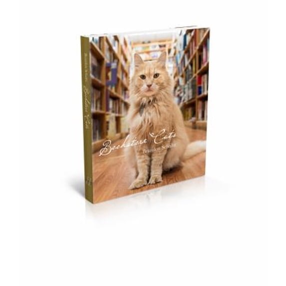 Pre-Owned Bookstore Cats (Hardcover) 1943876525 9781943876525