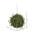 thumbnail image 2 of Vickerman 10" Artificial Green Angel Vine kissing ball., 2 of 2