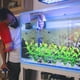 thumbnail image 4 of Planta de acuario, decoración de plantas de pecera artificial de plástico, juego de 10 piezas, 4 of 5