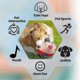 thumbnail image 3 of Active Moving Pet Plush Interactive Dog Toys, Moving Dog Ball Toy, Washable Cartoon Pig Plush Sound Electronic Dog Toy, 3 of 4