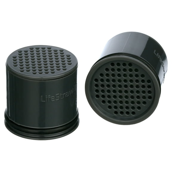 LifeStraw Go Replacement Carbon Filter 2-Pack