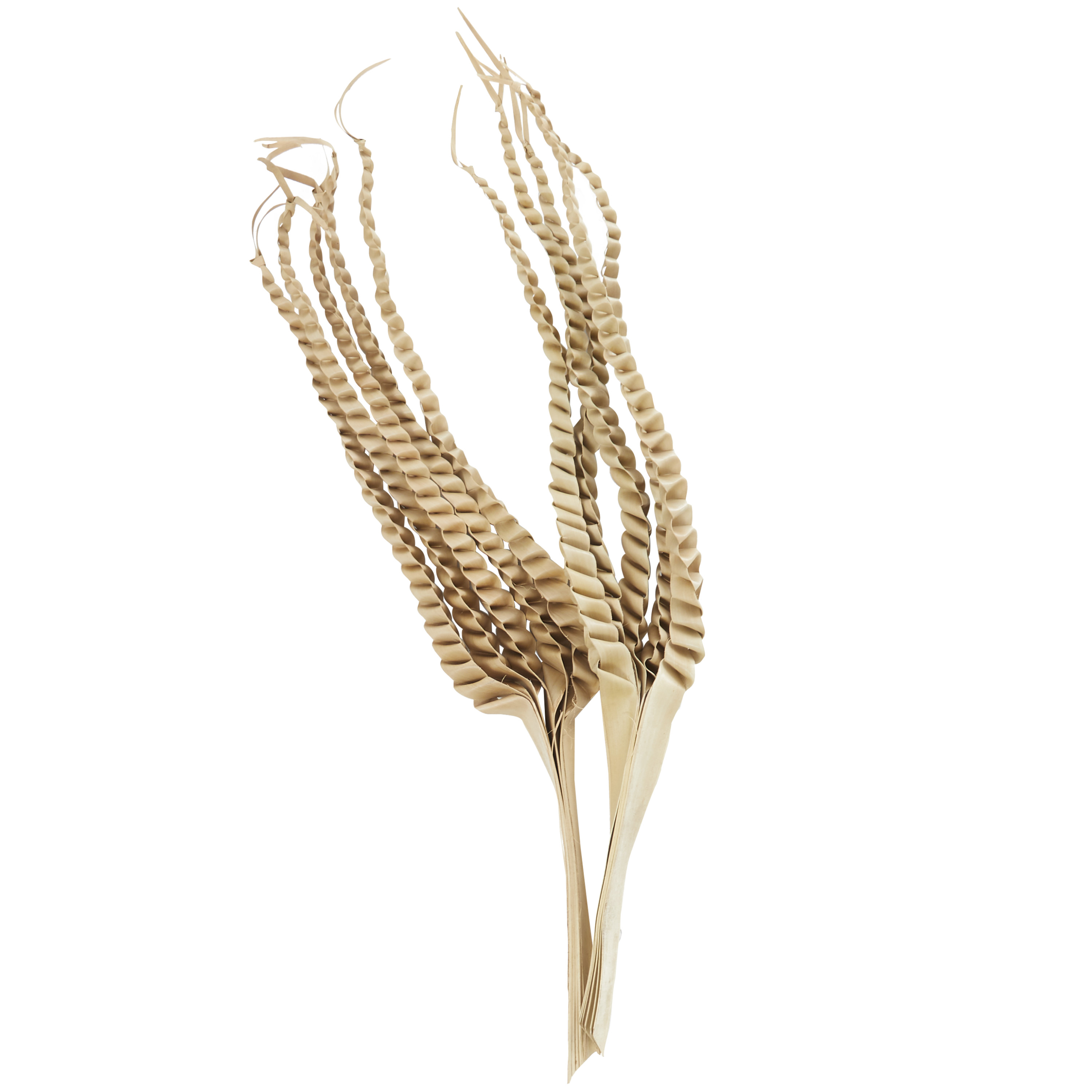32" Handmade Tall Five Finger Dried Plant Natural Foliage Palm Leaf Bouquet, by DecMode