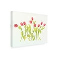 thumbnail image 2 of Trademark Fine Art 'Nine Tulips Twirling' Canvas Art by Deborah Kopka, 2 of 3
