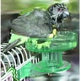thumbnail image 5 of Lixit Corporation BLX0787 Quick Lock Bird Bath, 5 of 5