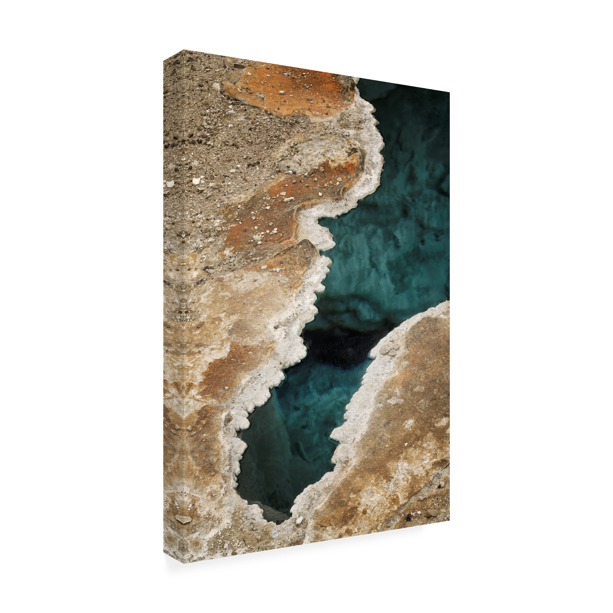 Canvas Wall Art - Dennis Frates 'Blue Star Spring' Wall Art for Living Room, Bedroom, or Office Décor by Trademark Fine Art - 16 x 24 Inches