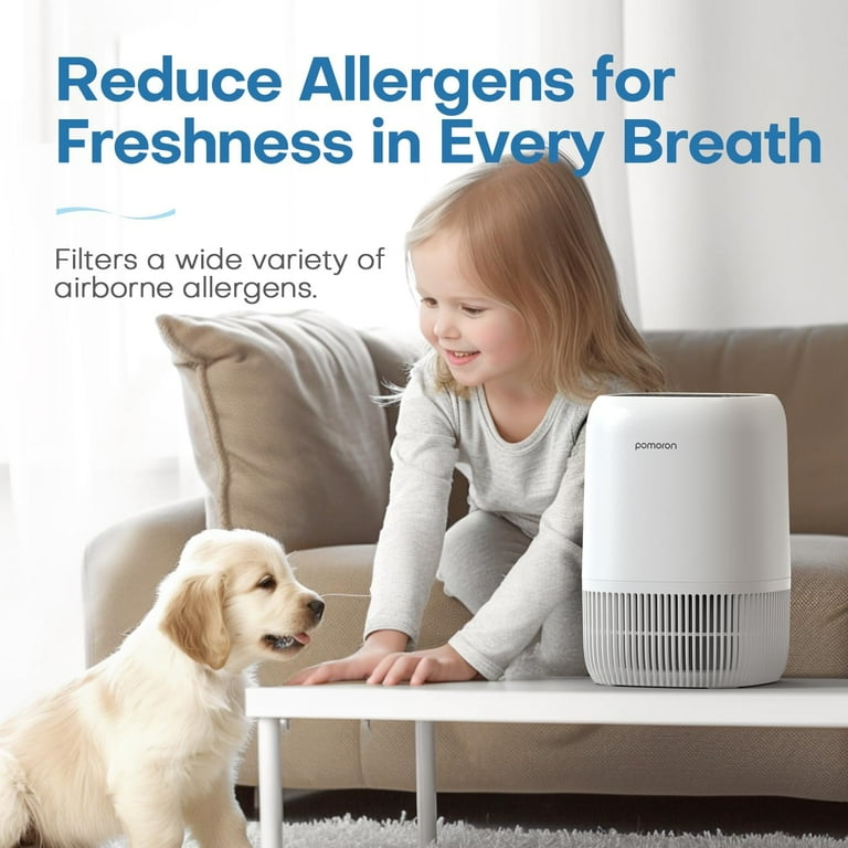 How Air Purifiers Reduce Allergens in Home Offices: Breathe Easier