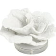 thumbnail image 4 of 6" x 4" White Polystone Small Textured Coral Sculpture with Clear Acrylic Base, by DecMode, 4 of 8