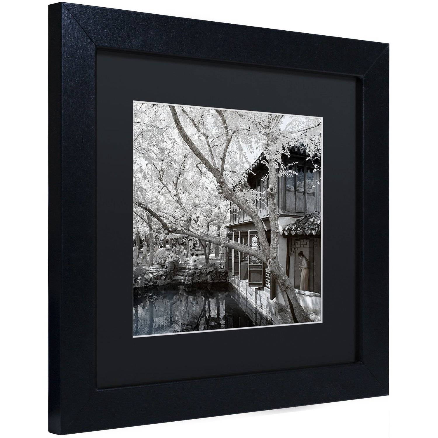 Trademark Fine Art "Reflections" Canvas Art by Philippe Hugonnard, Black Matte, Black Frame