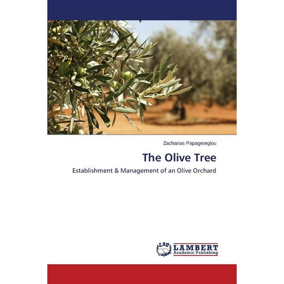 The Olive Tree (Paperback)