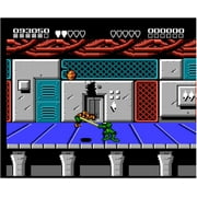 Battletoads & Double Dragon [NES]