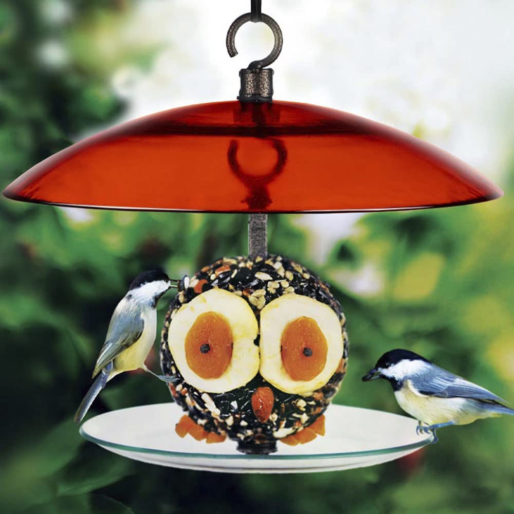 Mosaic Birds 360 Degree Petite Seed Cylinder Feeder, M392-200-15, 15 Inch wide, Fading Sunset