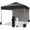 White+Black, variant on Bingirl 10x10 Pop-Up Awning Tent with 1 Removable Side Wall Wheeled Bag and 4 Weight Pockets (Black Support + White Cloth)