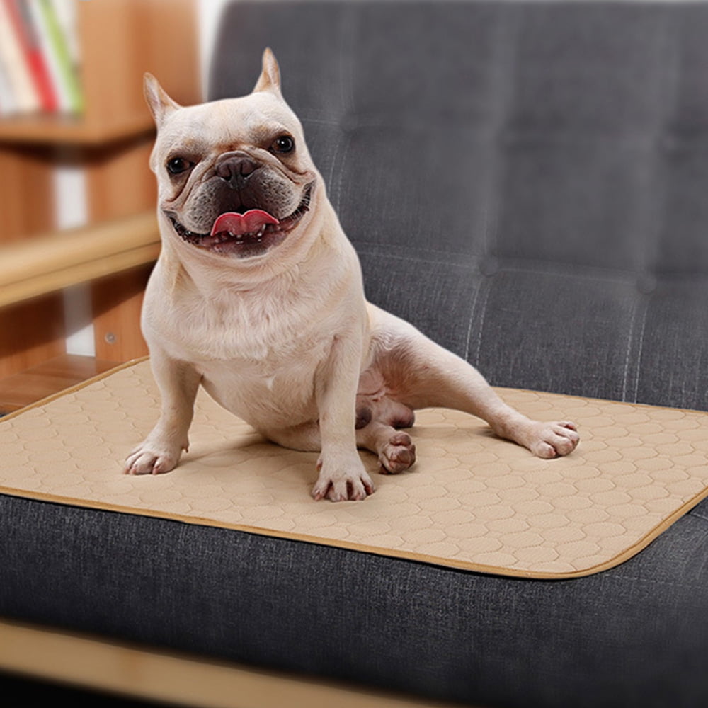 Dog washable pee pads hot sale