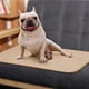 thumbnail image 3 of Almohadilla de entrenamiento para perros y gatos Almohadilla septal lavable y reutilizable para mascotas, 3 of 5