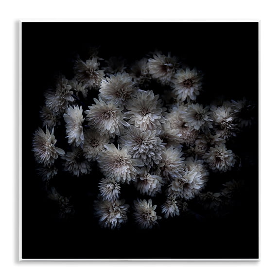 Stupell Industries Mum Bundle on Black Plants & Flowers Photography Unframed Art Print Wall Art, 12 x 12