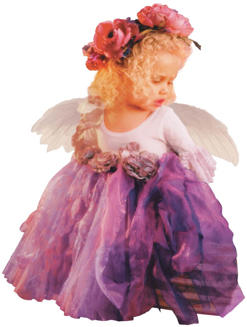 WINGED ANGEL DRESS UP HALLOWEEN COSTUME VALERIE TABOR SMITH INFANT 0-9 MONTHS 