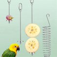 thumbnail image 5 of Hangable Butterfly Feeders Stand for Garden, Backyard B, 5 of 5