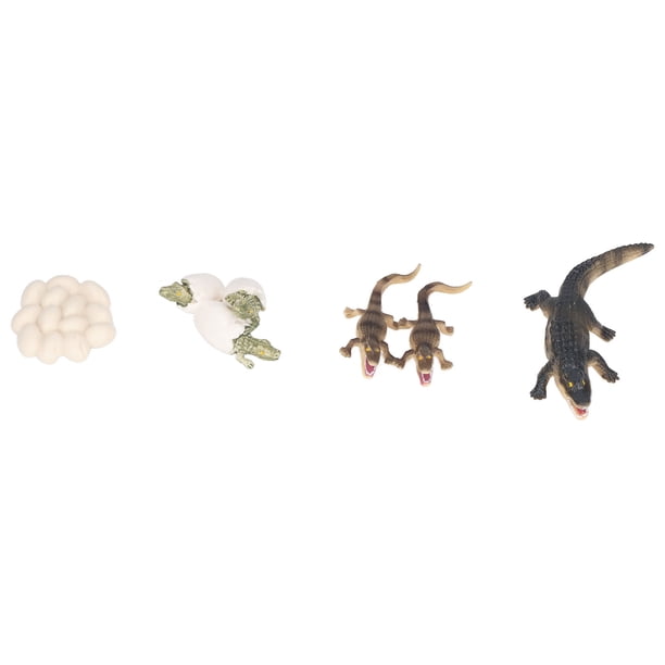 Kit De Juguetes De Animales Marinos De Plástico, Juego De Juguetes De Animales Marinos Prácticos Texturas únicas Para Juguetes Para Regalo De Vacaciones Para Herramientas ANGGREK Otros
