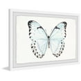 thumbnail image 2 of Translucent Blue Wings Framed Painting Print, 2 of 6