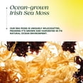 thumbnail image 6 of MegaFood Sea Moss Complex, Gut & Immune Support Supplement, 120 Capsules, 60 Servings, 6 of 10