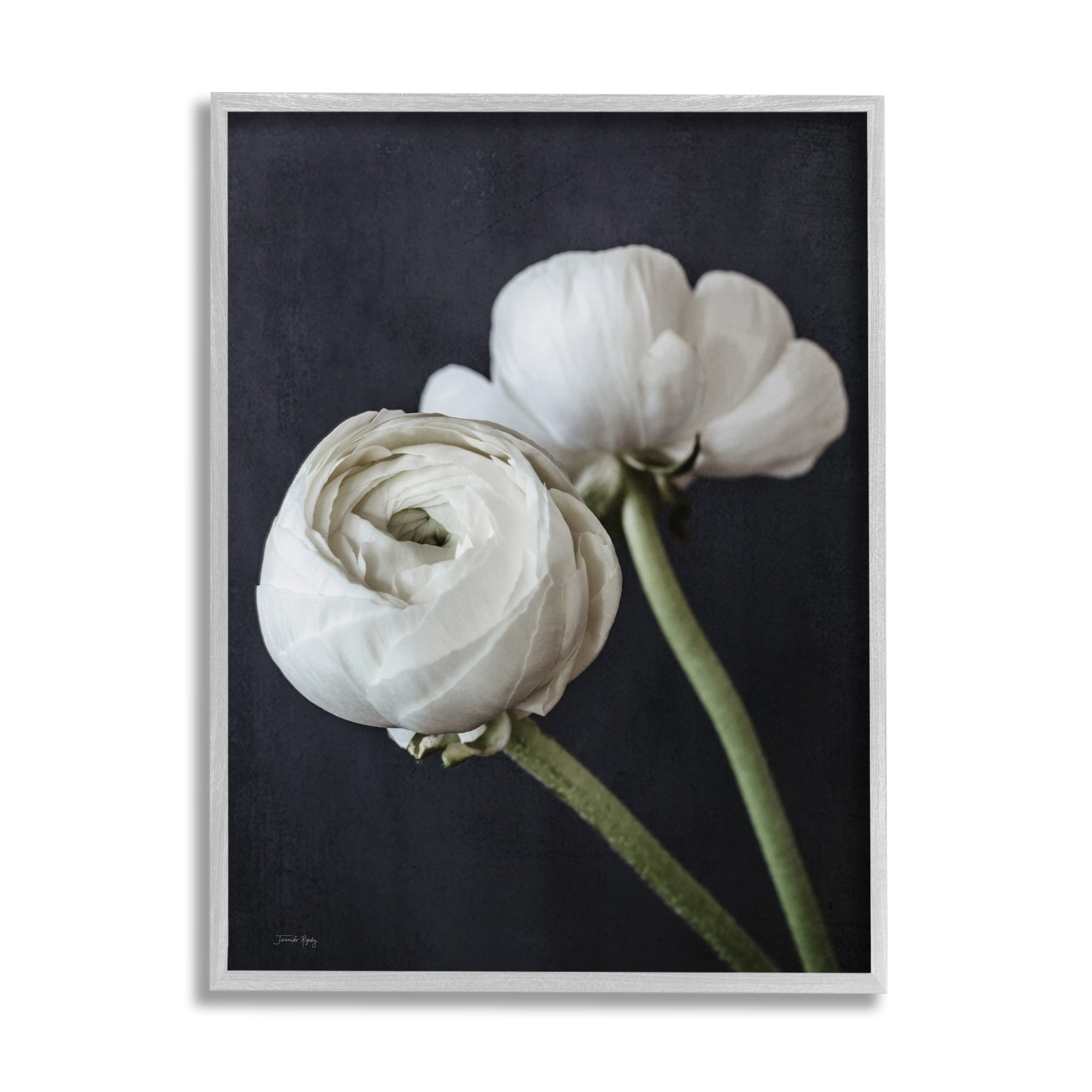 Stupell Industries Modern Ranunculus Flower Blossom Arrangement White Petals Photograph Gray Framed Art Print Wall Art, Design by Jennifer Rigsby