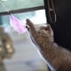 thumbnail image 5 of 4 piezas de varitas de juguete para gatos, varitas interactivas para gatos, varitas de colores con borlas, juguete para gatos de interior, 5 of 5