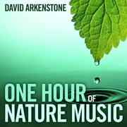 DAVID ARKENSTONE One Hour of Nature Music (CD)