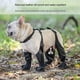 thumbnail image 4 of Zapatos para Perros Botas Impermeables Ajustables para Perros DíA de Lluvia Zapatos Transpirables para Mascotas para Caminar Al Aire Libre Patas Suaves de Bulldog FrancéS-M, 4 of 6