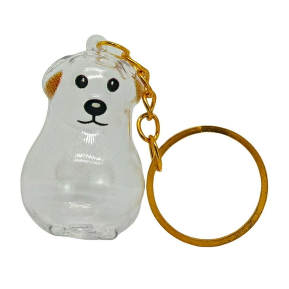 COOLHOOD Clear Pet Hair Memorial Keychain Keepsakes For Dog Lover Furs Collector Box Jewelry Honored Beloveds Pet Bag Charm