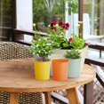 thumbnail image 6 of 3 Pack Metal Wall Hanging Flower Pots, Trianu Hanging Plant Holder with Detachable Hooks Railing Fence Balcony Deck Garden Home Decoration, Light Green, 6 of 7