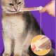 thumbnail image 5 of Methold Dispensador de comida para perros con hebilla fija, buenos materiales para gatos, exprimidor dispensador de albóndigas fritas Suministros para gatos Amarillo, 5 of 6