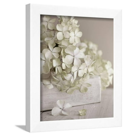 Flowers Framed Art - White Flowers Framed Print Wall Art By Symposium Design