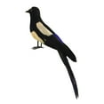 thumbnail image 2 of DOLITY Magpie Simulation Bird Animal Feathered Bird Model Bird Figurine Statue for Lawn 30cm, 2 of 9