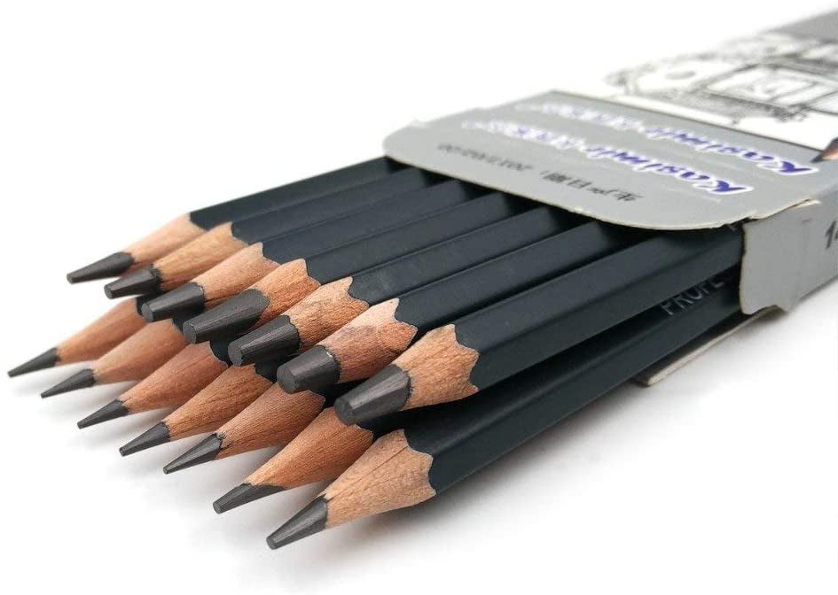 Professional Drawing Sketching Pencil Set 12Pcs Graphite Pencils for  Beginners Beginners Pro Artists Graphite Pencils Durable Not easy to break  Easy