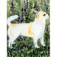 thumbnail image 1 of Carolines Treasures SS8952GF 11 x 15 In. Chihuahua Flag- Garden Size, 1 of 3