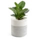 thumbnail image 5 of Cesta de almacenamiento Wosthever algodón 20 centímetros, 5 of 6