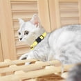 thumbnail image 4 of Collar de gato suave, collar de gatito de seguridad ajustable colorido con campana, 4 of 5