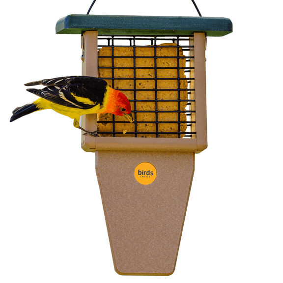Birds Choice 12" Recycled Single Cake Tail Prop Suet Feeder, Taupe/Green