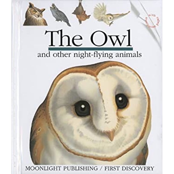 Pre-Owned The Owl and Other Night-Flying Animals (Spiral-Bound) 9781851032167