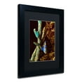 thumbnail image 3 of Trademark Fine Art "Fish in the Rocks" Canvas Art by Kurt Shaffer, Black Matte, Black Frame, 3 of 5