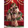 thumbnail image 1 of Avanti Press Pug Christmas Tree Funny / Humorous Dog Christmas Card, 1 of 2
