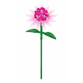 thumbnail image 2 of Brickcraft Astrantia Building Kit: 69-Piece Set with Adjustable Flower, Great Adult Gift, 2 of 8