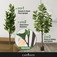thumbnail image 6 of CAPHAUS Artificial Fiddle Leaf Fig Tree, 6 / 7 Feet in Pot with Dried Moss, for Indoor House Home Office Store, Potted Ficus Lyrata Faux Tree, Fake Plant Modern Decoration Gift for Housewarming, 6 of 9