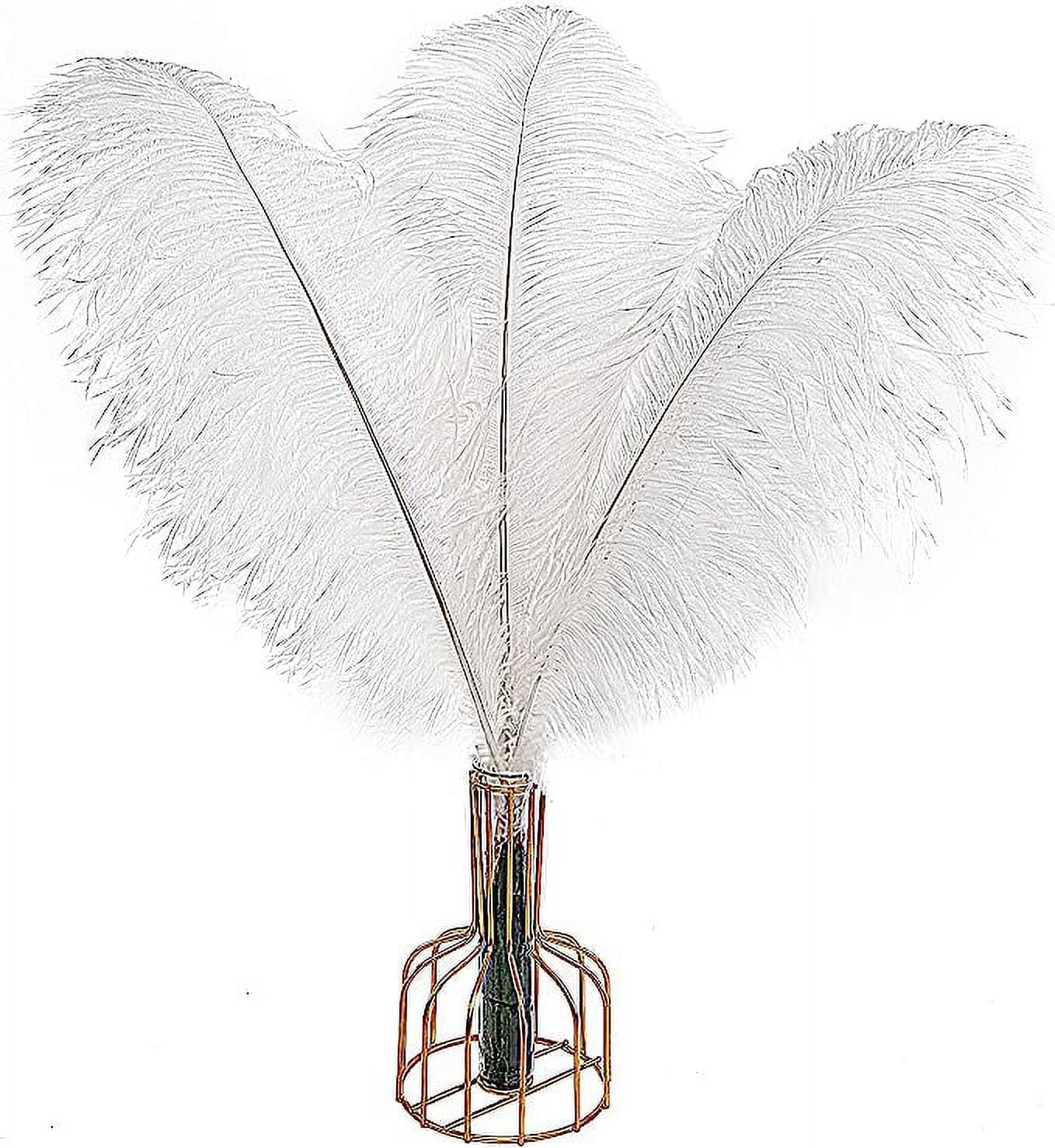 Nvzi 12pcs White Ostrich Feathers Natural Bulk 16-18Inch 40cm-45cm for Wedding Party Centerpieces Easter Gatsby and Home Decorate Ostrich Feathers