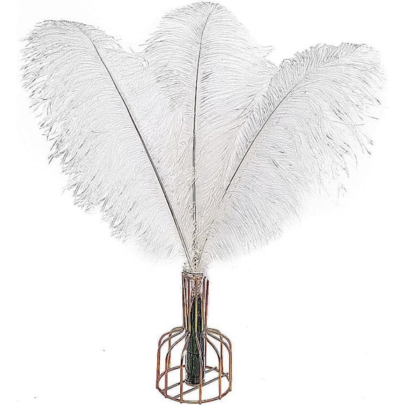 Namzi 12pcs White Ostrich Feathers Natural Bulk 16-18Inch 40cm-45cm for Wedding Party Centerpieces Easter Gatsby and Home Decorate Ostrich Feathers