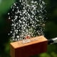 thumbnail image 1 of Piedra De Aire De Madera Para Acuario Ligera Y Duradera Para Crear Un Aumento Muy Fino De Oxígeno En El Agua. Anggrek Aquarium Air Diffuser, 1 of 8