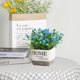 thumbnail image 4 of Topiarios, plantas y flores artificiales, mini plantas, maceta., 4 of 5