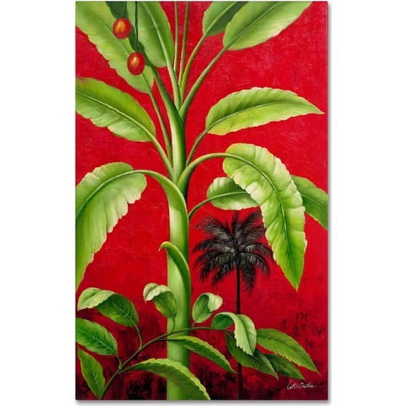 Trademark Fine Art "Tropical Palm II" Canvas Art by Victor Giton