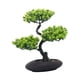 thumbnail image 2 of Bonsái artificial de pino, 26 x 34 cm, decoración de mesa decorativa realista para Verde claro, 2 of 9